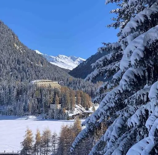 La Swiss Alps アパート