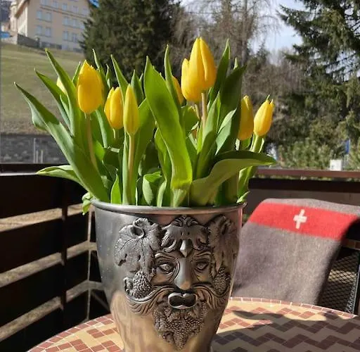 La Swiss Alps * ダヴォス・プラッツ